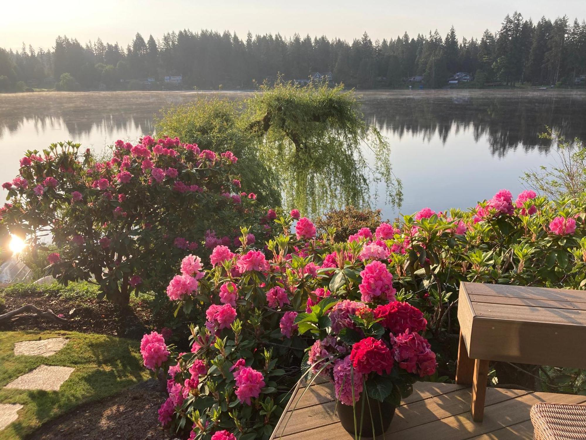 Cottage Lake Bed And Breakfast Woodinville Bagian luar foto