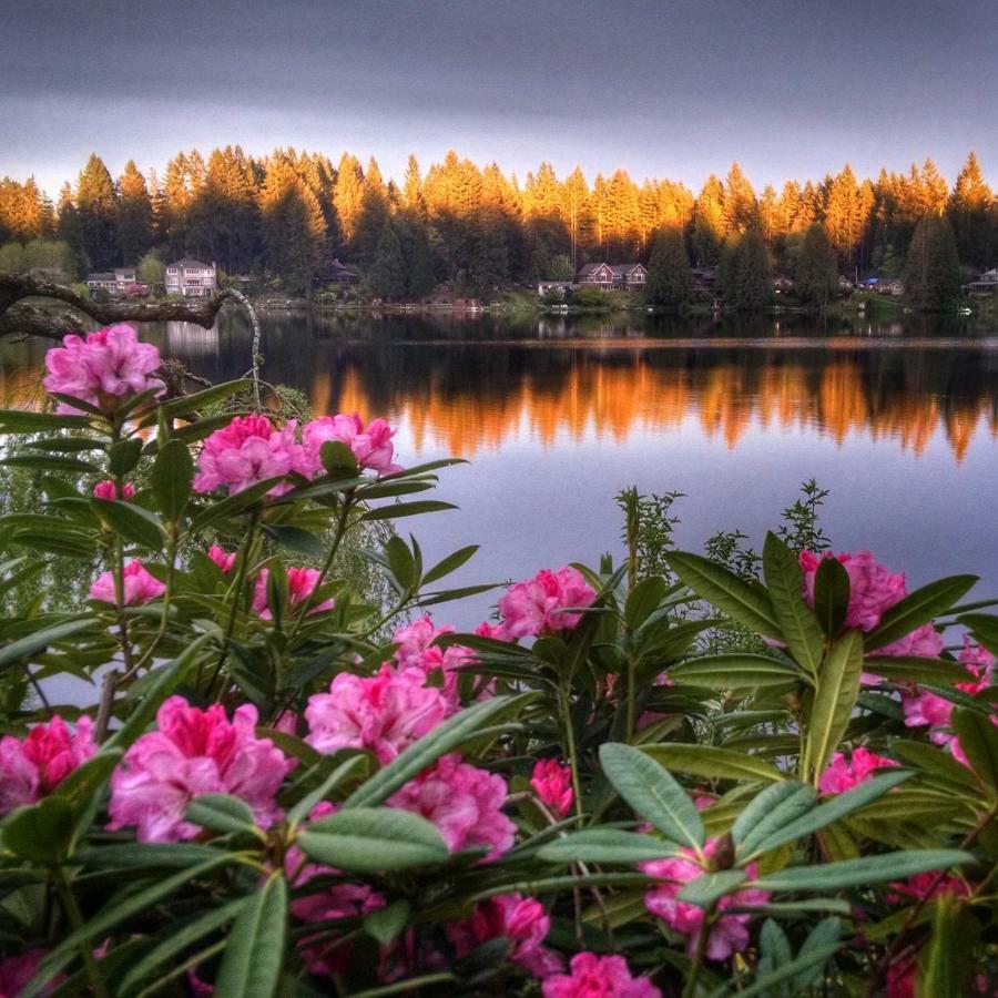Cottage Lake Bed And Breakfast Woodinville Bagian luar foto
